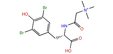 Valdiviamide A